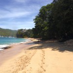 La plage de Bequia