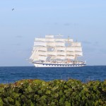 Le Royal Clipper (5 mâts) vu de la plage de Bequia