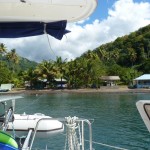 Le catamaran attaché aux arbres  derrières