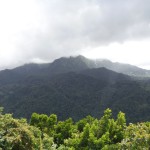 Vue de l'Observatoire de la Montagne Pelée