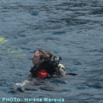 photo_diver-1