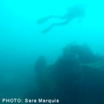 Photo_Dive4